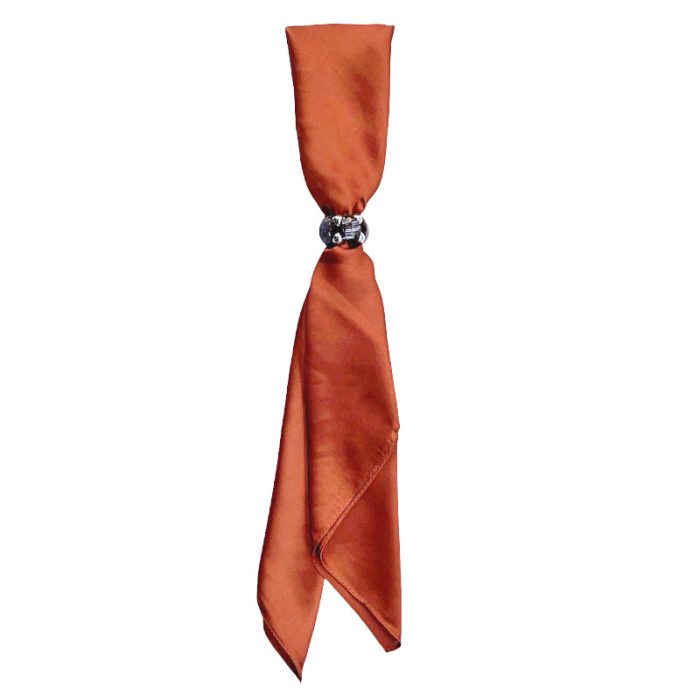 Silk Feel Square Scarf with Ring