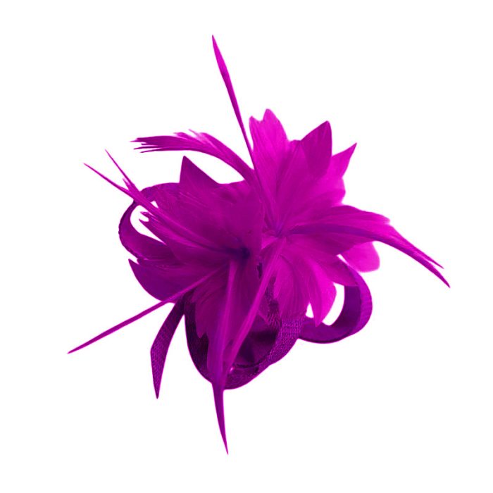 Fascinator / Brooch