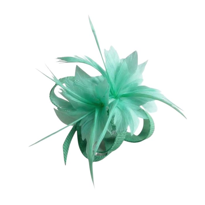 Fascinator / Brooch